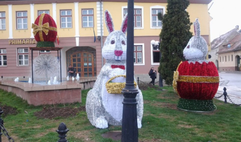 La Cisnadie iepurasul a venit mai repede La Cisnadie iepurasul a venit mai repede
